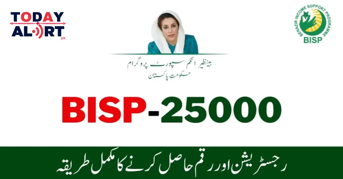 8171 Check Online 25000 Ehsaas Payment Update 2024