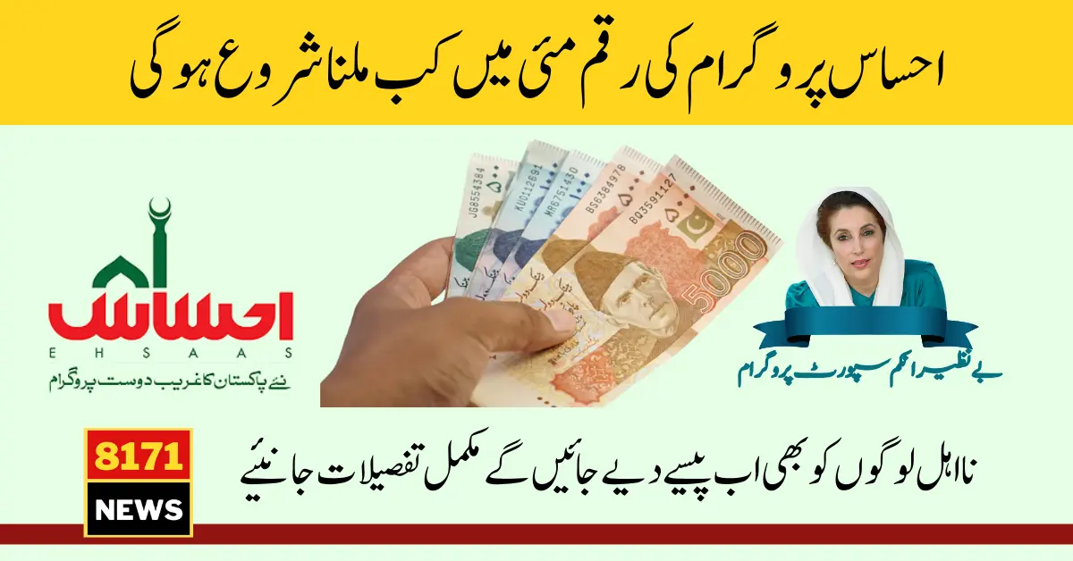 Ahsaas Program CNIC Check Online (1)