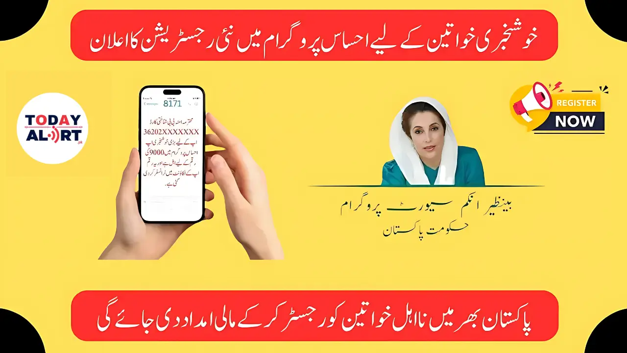 Ehsaas 8171 Pass Gov Pk Online Registration For Poor Women