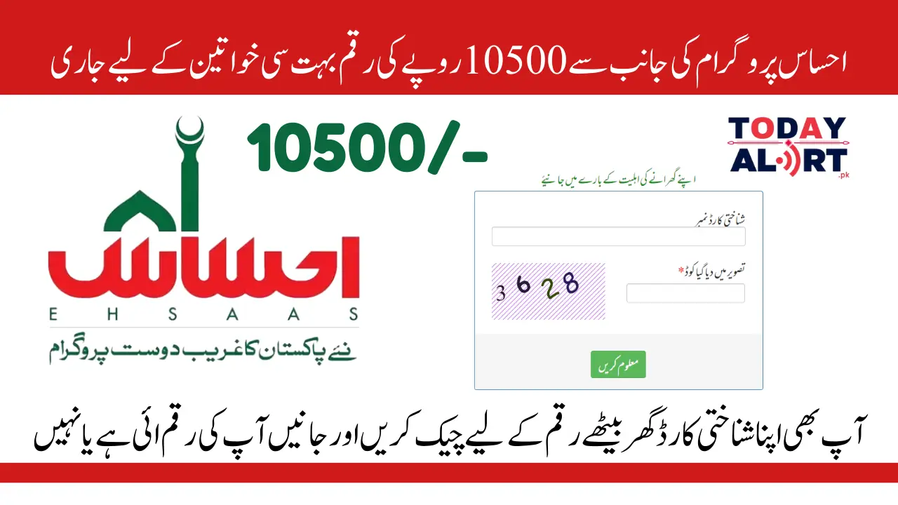 Ehsaas Program Online Check 10,500 Payment Comprehensive Guide