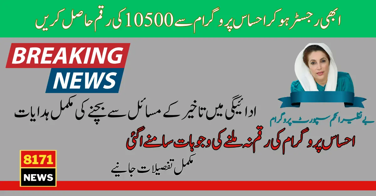 How Can Be Resolved Ehsaas Program Status Pending Issue.