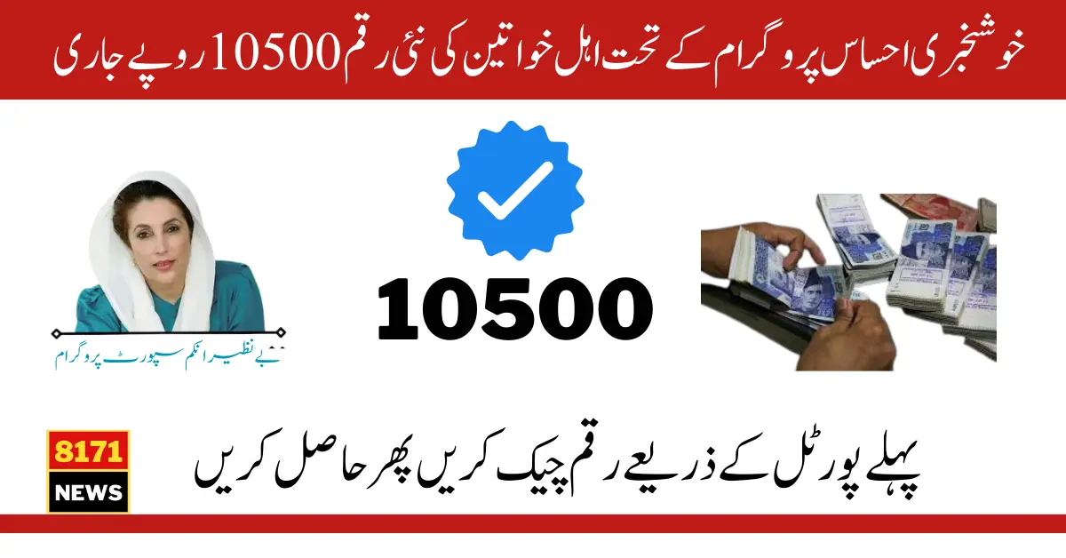 Ehsaas Program 10500 Online Web Portal Status Check With CNIC 