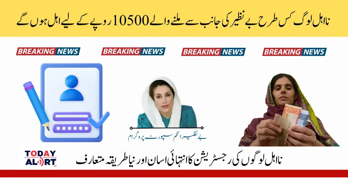 How To Fix BISP 10500 'Payment Issue' For Ineligible People