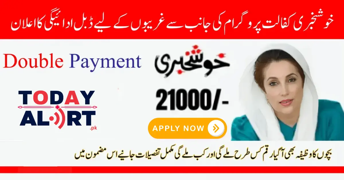 8171 New Survey Registration For Benazir Kafalat Double Payment