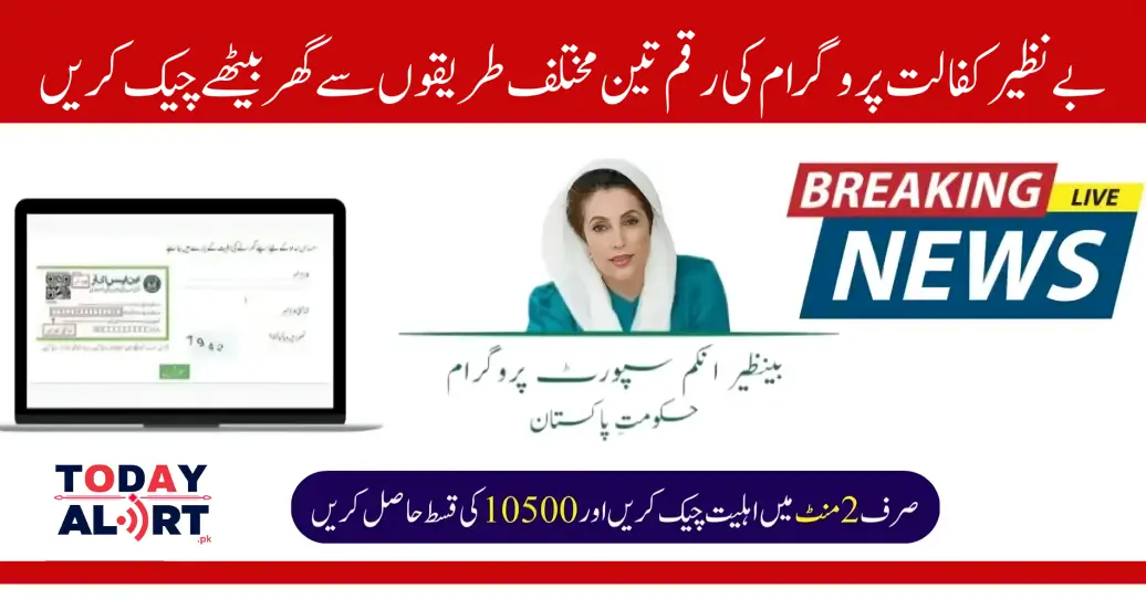 3 Easy Steps For BISP Eligibility Check Online Latest Update October 2024