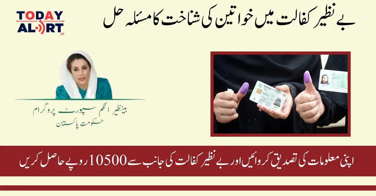 How to Fix the ‘Identity Verification Failed’ in Ehsaas Program