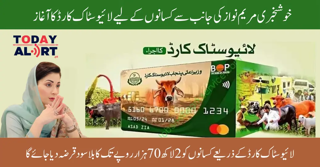 CM Maryam Nawaz Sharif Livestock Card All Details You Need To Know