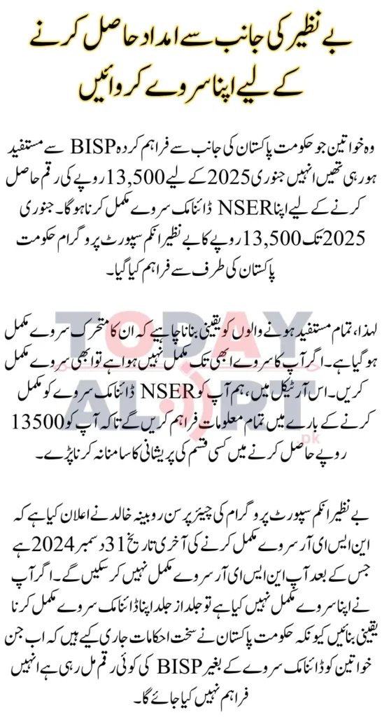 BISP Beneficiaries Must Complete the Dynamic Survey Before December 31 to Avoid Payment Stoppage