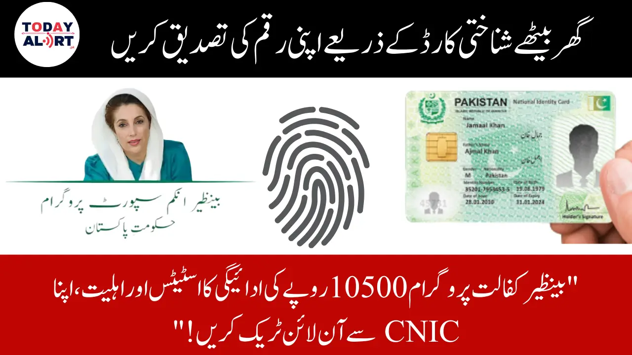 BISP 10500 Tracking CNIC Verification Online