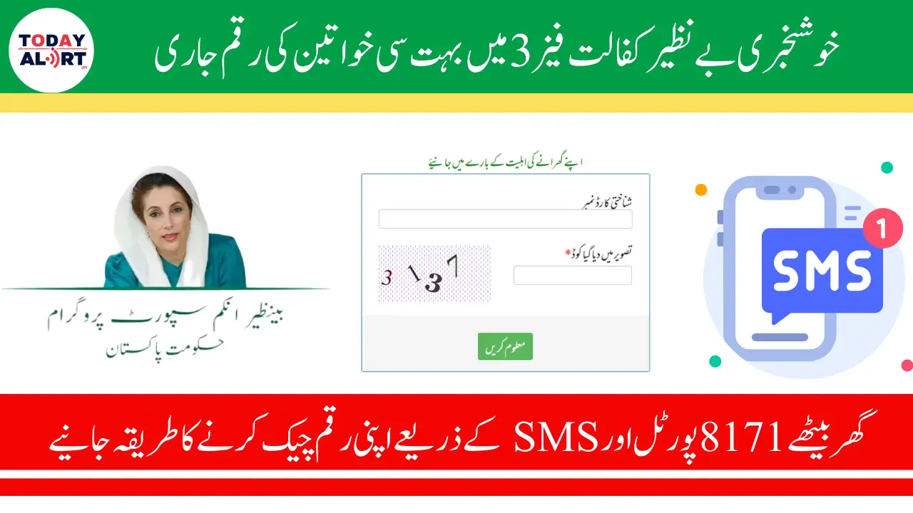 Check BISP Phase 3 Payment Status by 8171 Portal & SMS Through CNIC