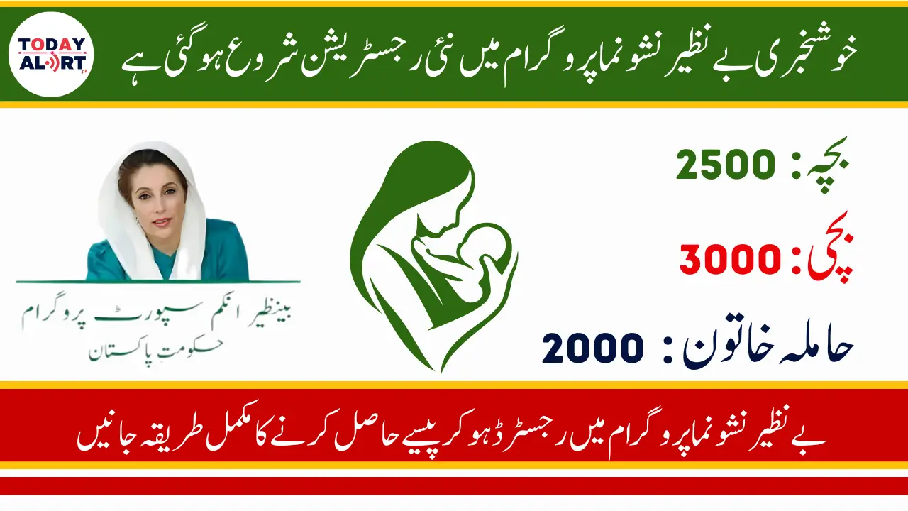 Benazir Nashonuma Program 2025 Registration Process and Eligibility Requirements