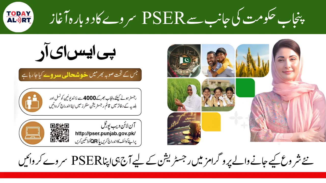 PSER Survey 2025 Started For Punjab Government Upcoming Programs